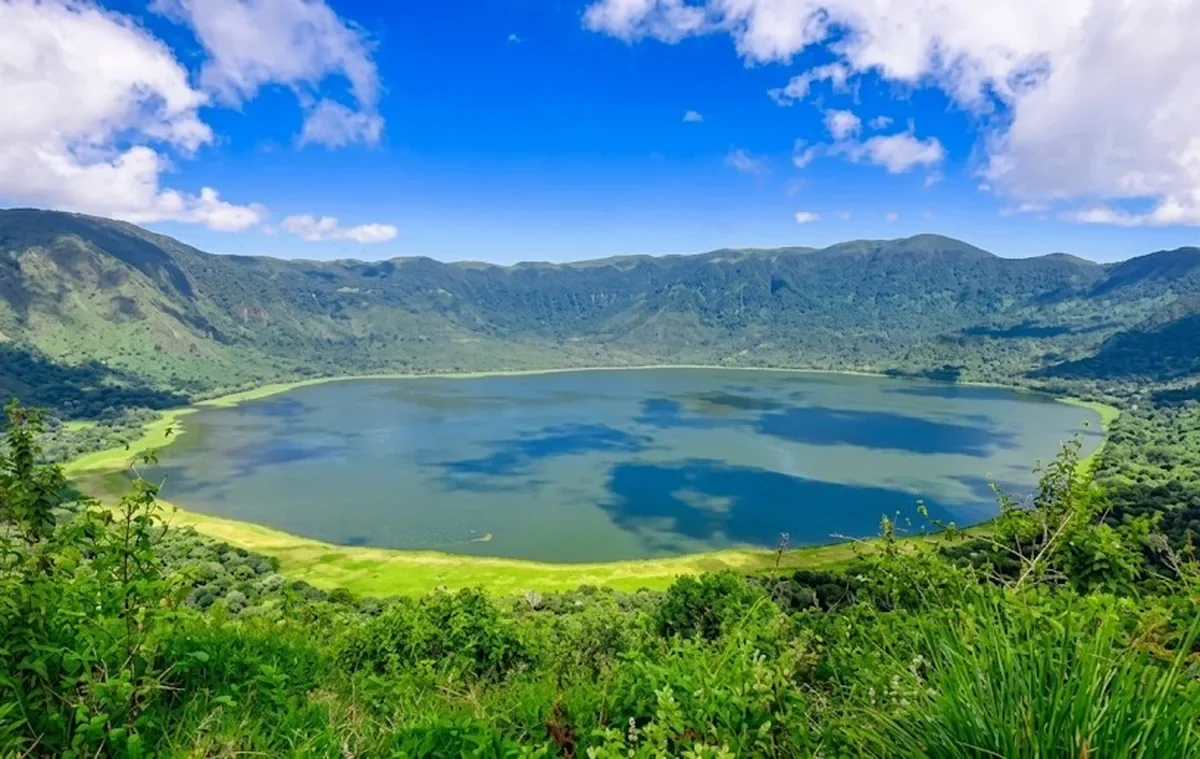 Ngoro