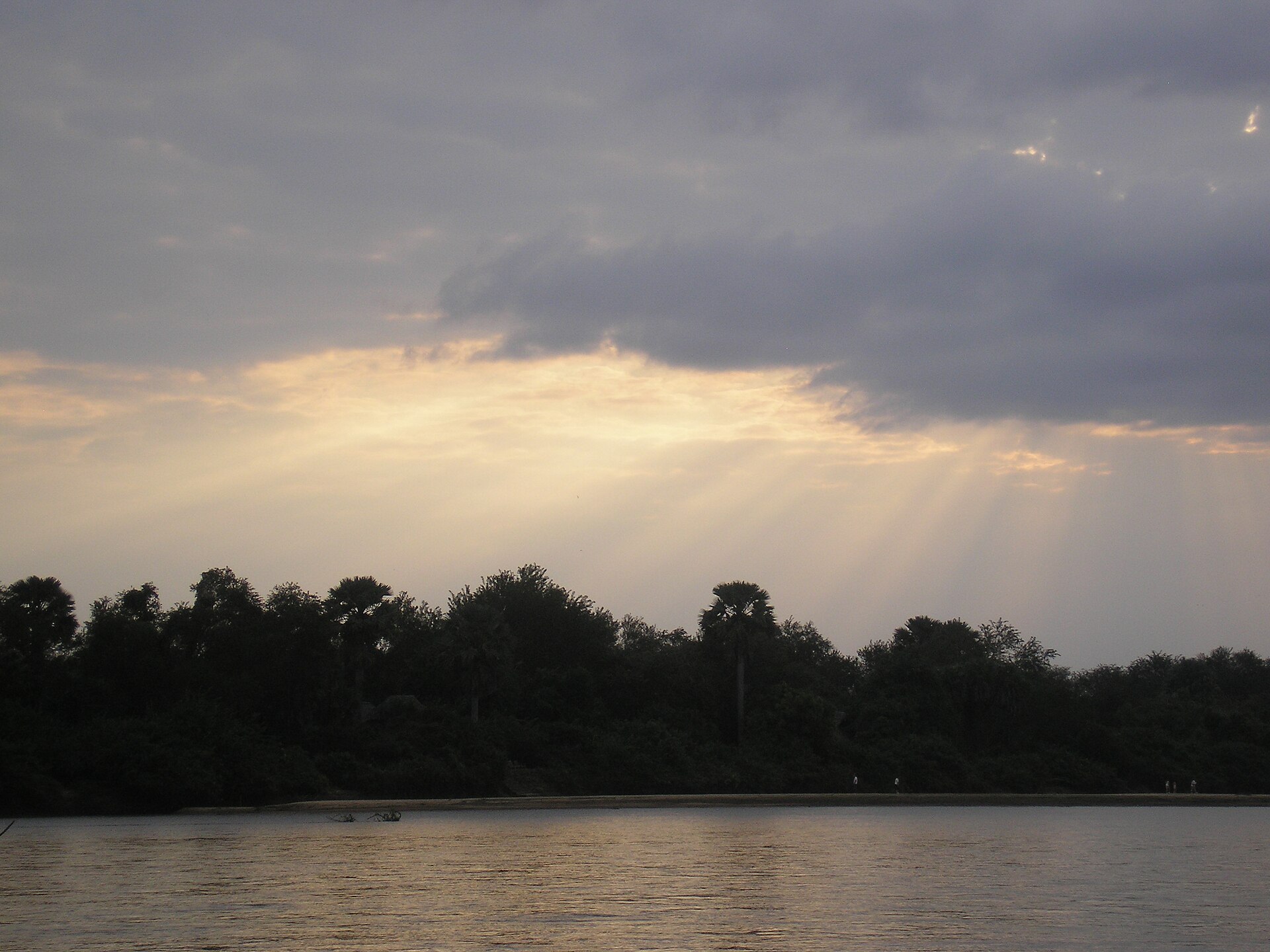 Nyerere National Park