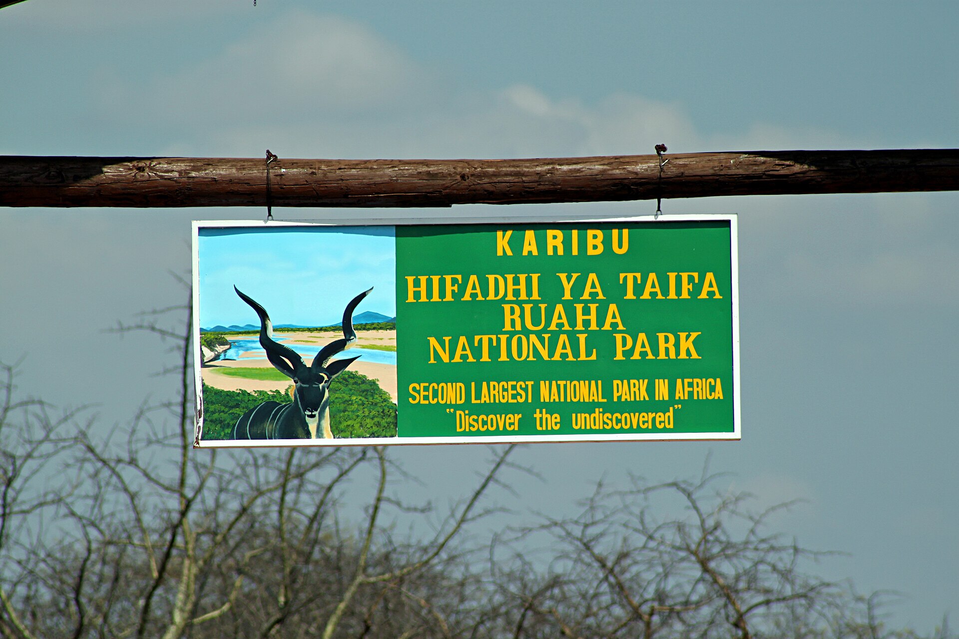 Great Ruaha River baobabs and wilderness